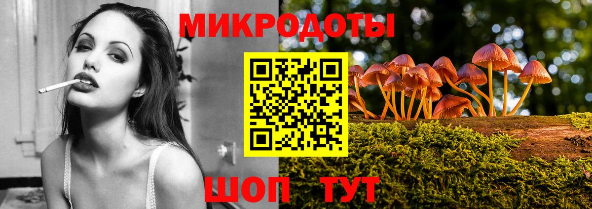 Псилоцибиновые грибы GOLDEN TEACHER  наркотики  Гусь-Хрустальный  Псилоцибиновые грибы Cubensis  Вход с VPN 