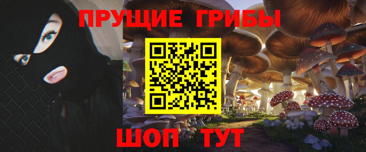Галлюциногенные грибы Cubensis Гусь-Хрустальный