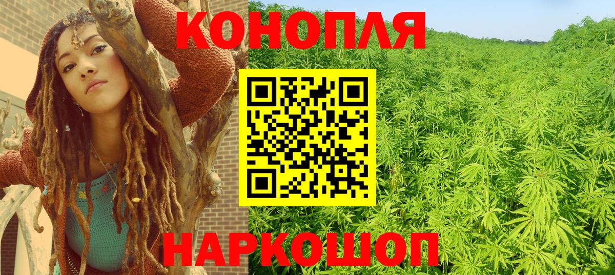 Канабис сатива  Конопля конопля  Гусь-Хрустальный  Конопля SATIVA & INDICA  Вход с VPN  Каннабис AK-47 